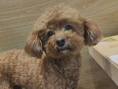 -德寿宫韩国料理(下沙店)