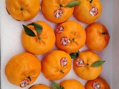 -上海龙吴水胜海发市场