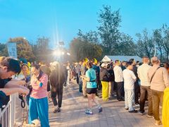 -绿堤公园
