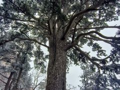 -终南山南五台景区