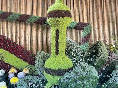 -杭州植物园