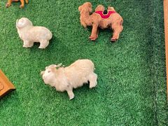 -诺敏塔拉奶茶-布里亚特包子-手把肉(锦都会店)