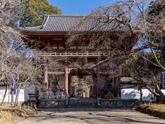 -醍醐寺
