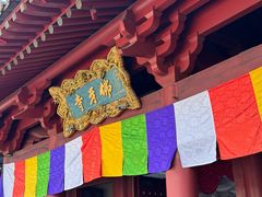 -新加坡佛牙寺龙华院