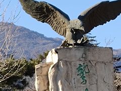 -北京鹫峰国家森林公园