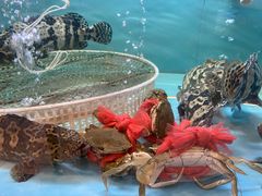 -天福海鲜酒楼·闽菜海鲜·宴请聚会(五四路店)