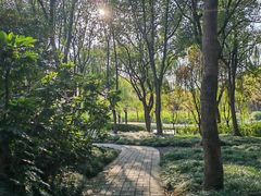 -高子水居
