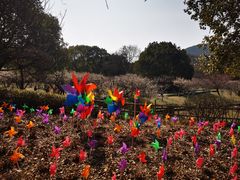 -白马涧龙池景区