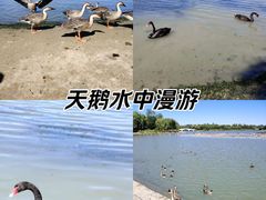 -南海子公园