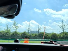 -黄陂区野村谷景区
