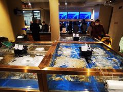 水产区-七鲜超市(瑞虹天地太阳宫店)