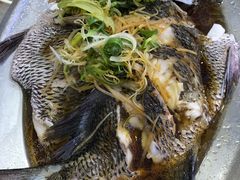 -旅南活海鲜-屏东(墾丁海鮮，海鮮餐廳，墾丁團體合菜，平價熱炒，墾丁熱炒店，活海鮮推薦，在地海鮮餐廳)