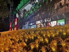 -远洋未来汇