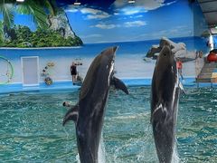 -尼莫海豚馆