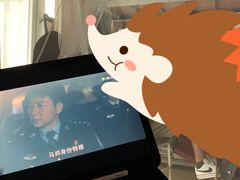 -Apple零售店(成都太古里店)