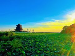 -阳澄湖半岛旅游度假区