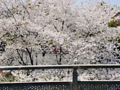 -IKEA宜家家居(南京商场)