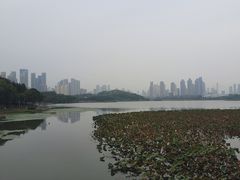 -月湖风景区