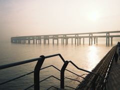 -星海湾跨海大桥