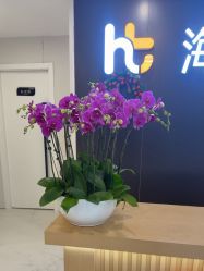 点击看大图 -海涛医疗美容·面部抗衰·注射美鼻