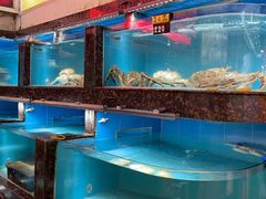 -天天海鲜城·海鲜大排档(新溪店)