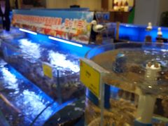 水产区-新海渔港·胶东海鲜家常菜·家宴(奥体中心店)
