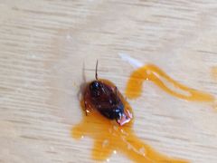 -秦香陕西食府(华贸天地店)