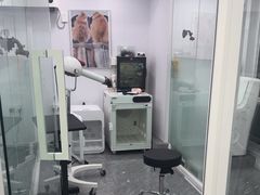 -爱洗澡的猫(望京店)