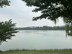-羊山湖公园