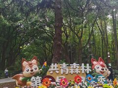 -上海共青森林公园