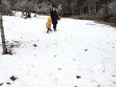 -硗碛藏寨·神木垒景区