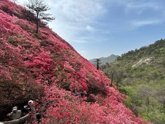 -木兰云雾山