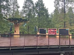 -黄海国家森林公园