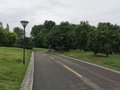 -张坝桂圆林公园