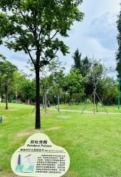 -广州市儿童公园