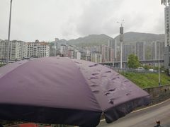 -郑件洋芋饭庄