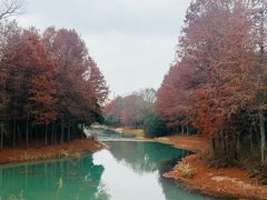 -尚贤河湿地