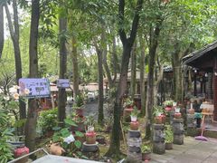 -土砂锅生态山庄·非遗砂锅雅鱼