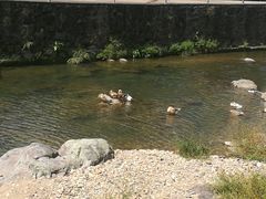 -鹿亭中村
