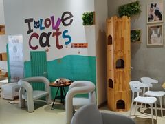 -藏猫猫咖啡主题馆(中央大道店)