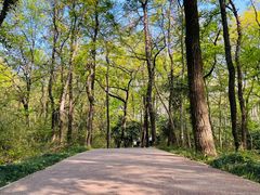 -紫金山山顶公园