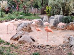 -昆明动物园
