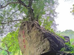 -广州莲花山旅游区
