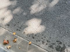 -苏州河梦清园环保主题公园