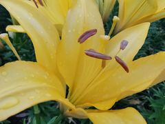 -长春公园(普阳街道)