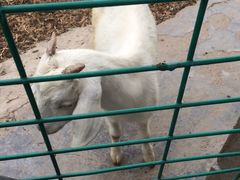 -上海多利农业发展有限公司