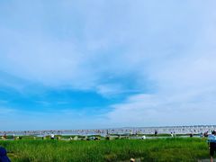 -南汇新城海滩
