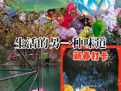 -花溪公园