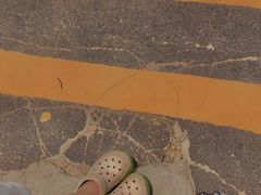 -广东惠东海龟国家级自然保护区