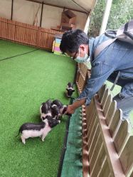 -萌宠亲子动物乐园(槐房万达店)